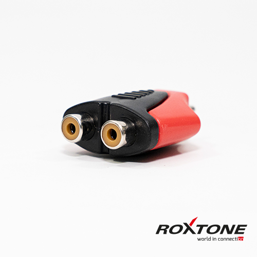 RPAN310-2
